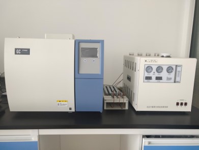 gas chromatograph